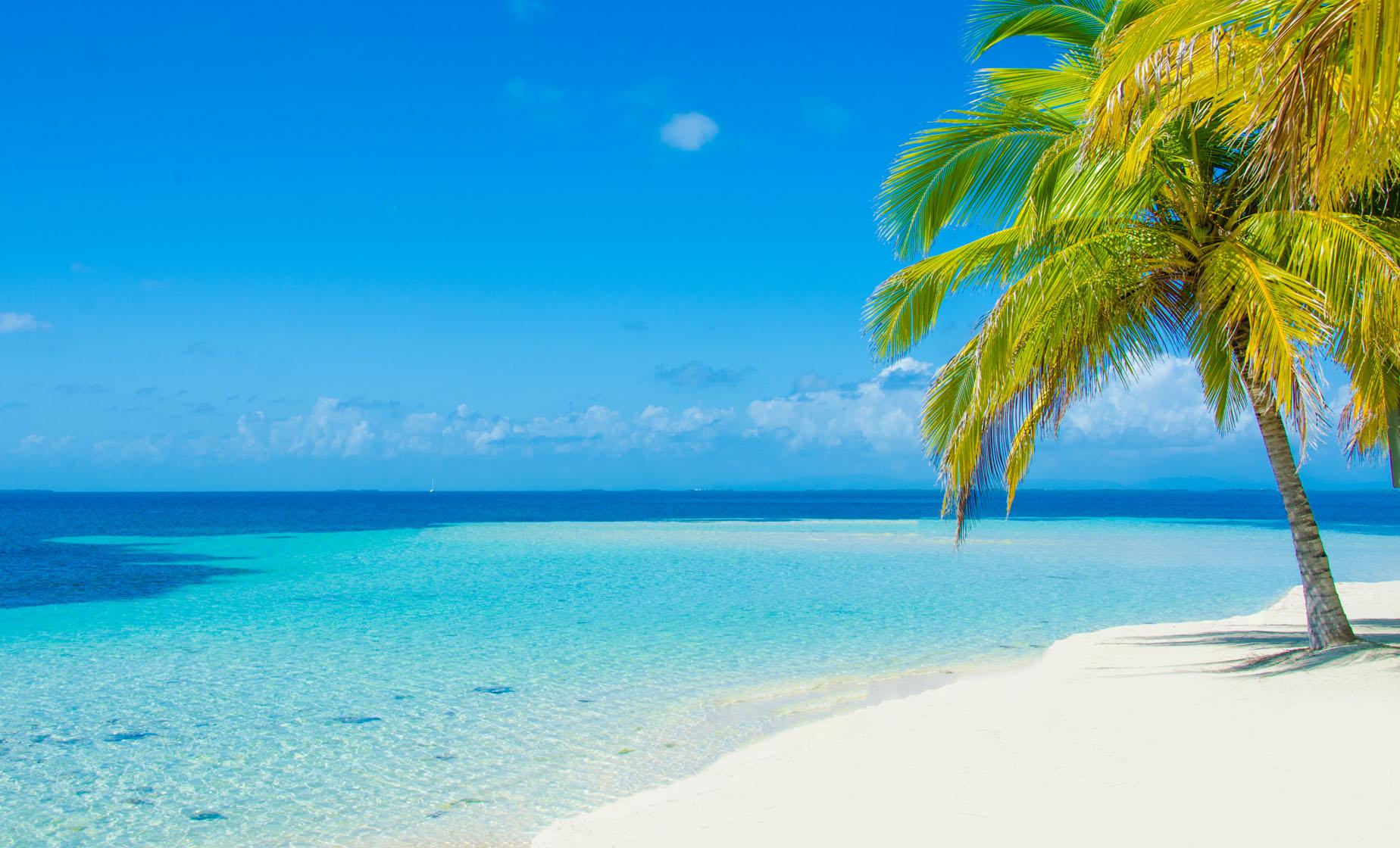 Beach and City - Image 1