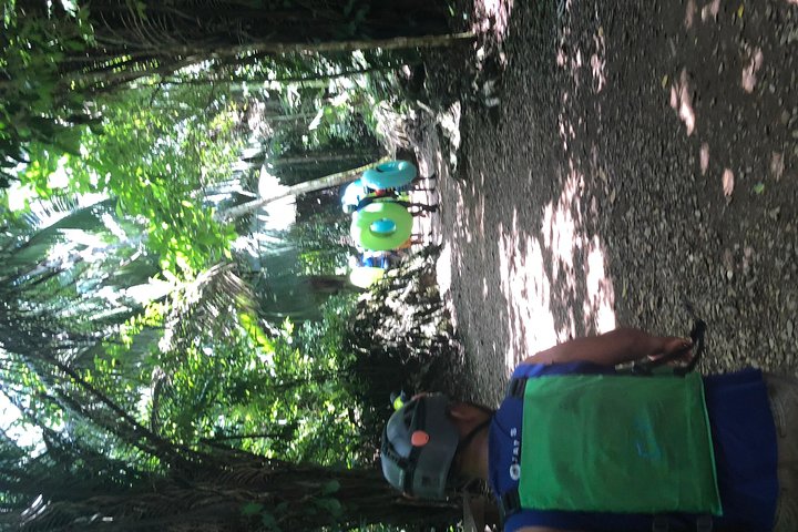 Cave Tubing and Zipline Adventure from Belize City - Image 4