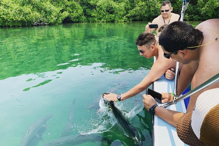 Caye Caulker Split Island Getaway and Tarpon Feeding - Image 2