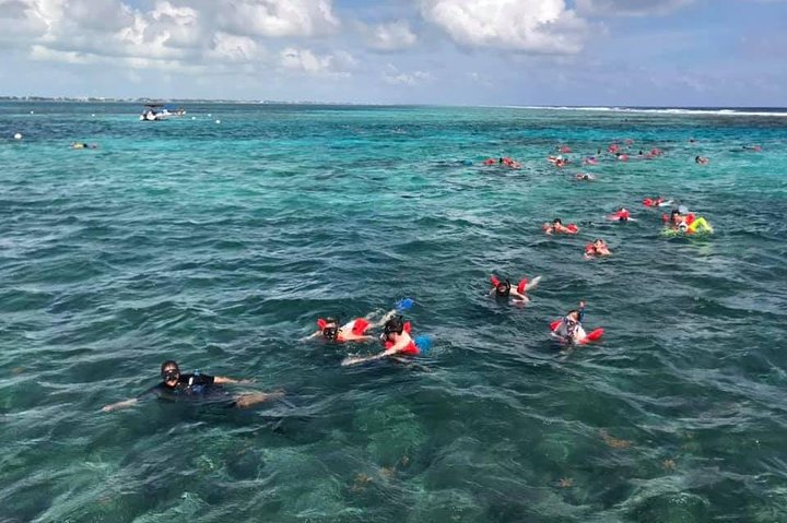 Coral Garden Shark and Sting Ray Alley Snorkeling - Image 1