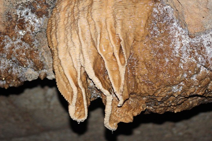 Hassle free Cave Tubing Adventure from Belize City with Lunch - Image 4