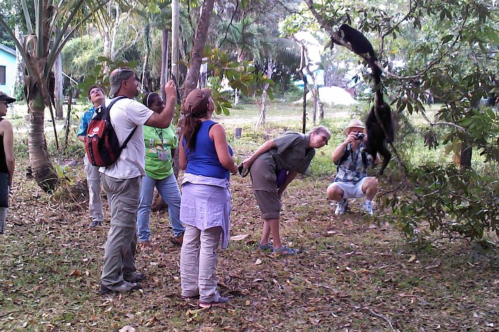 Howler Monkey Sanctuary Tour from Belize City - Image 2