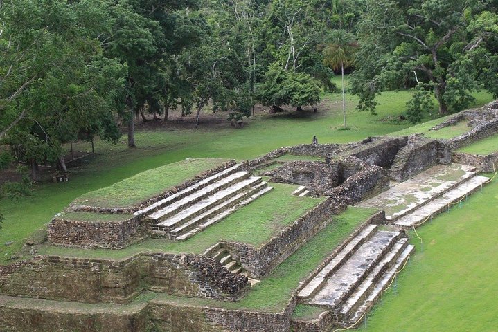 Howler Monkeys and Mayan Adventure at Altun Ha - Image 4