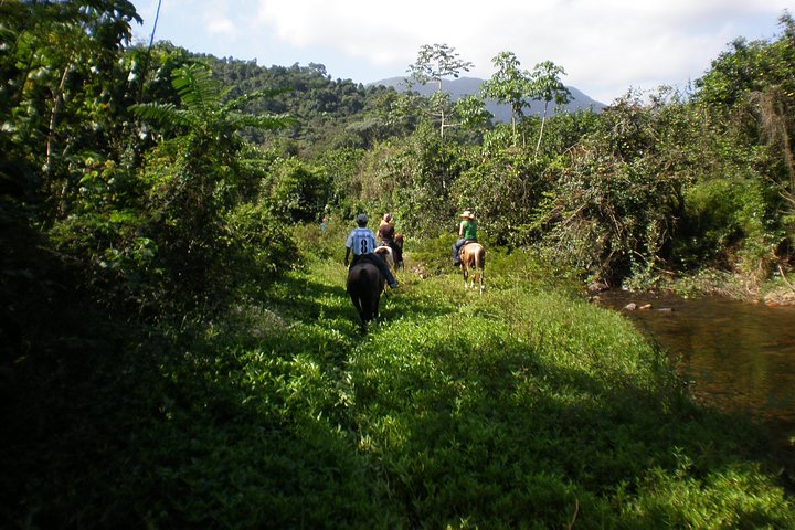 Jungle Horseback & Cave Tube Adventure - Image 2