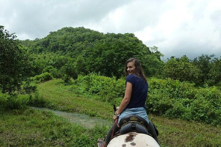 Jungle Horseback & Cave Tube Adventure - Image 1