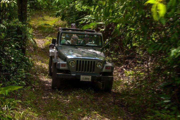 Jungle Jeep Adventure from Belize City - Image 1