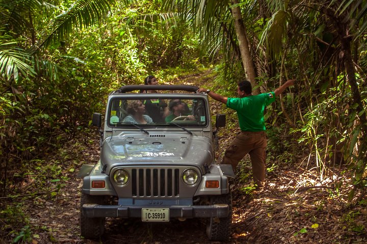 Jungle Jeep Adventure from Belize City - Image 2