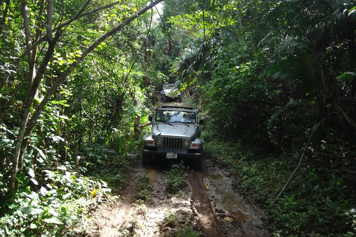 Jungle Jeep Safari and Cave Tubing Tour - Image 2