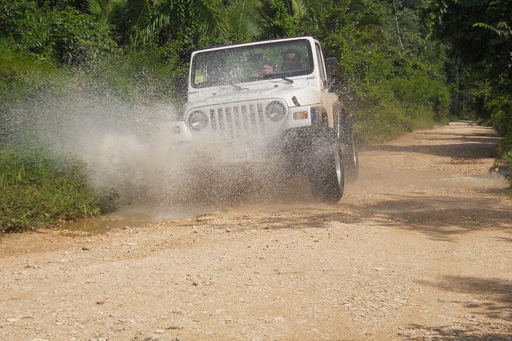 Jungle Jeep Safari and The Belize Rum Factory - Image 5