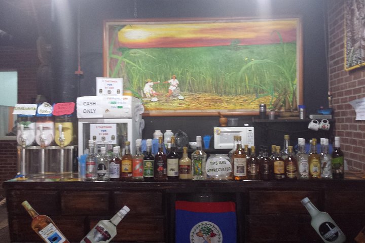 Jungle Jeep Safari and The Belize Rum Factory - Image 3