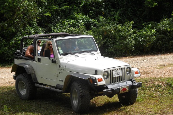 Jungle Jeep Safari and The Belize Rum Factory - Image 4