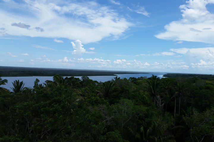 Lamanai Mayan Site and New River tour  - Image 4