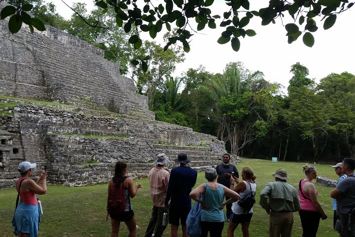 Lamanai Mayan Site and New River tour  - Image 2