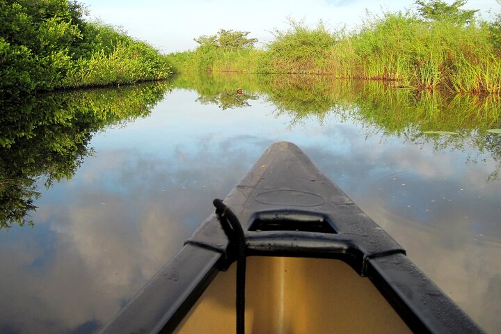 Lamanai one day tour from Belize City - Image 4