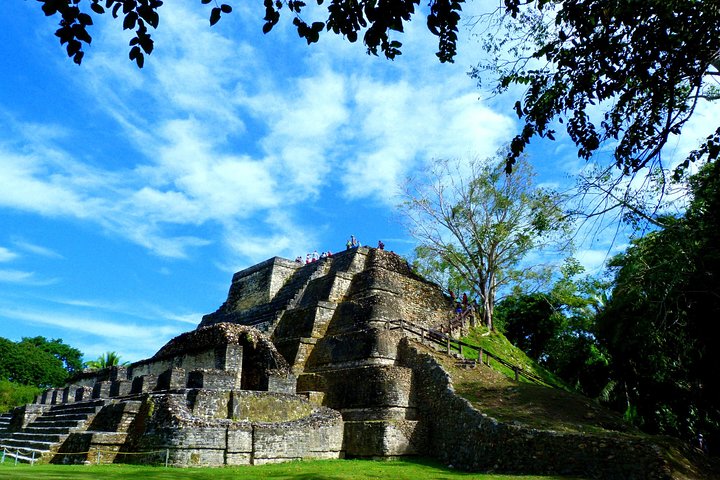 Private Altun Ha Maya Ruin & Howler Monkey Adventure From Belize City - Image 3