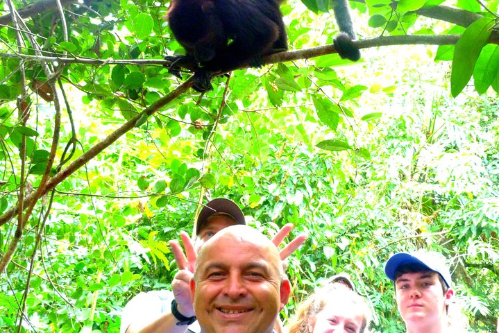 Private Altun Ha Maya Ruin & Howler Monkey Adventure From Belize City - Image 1