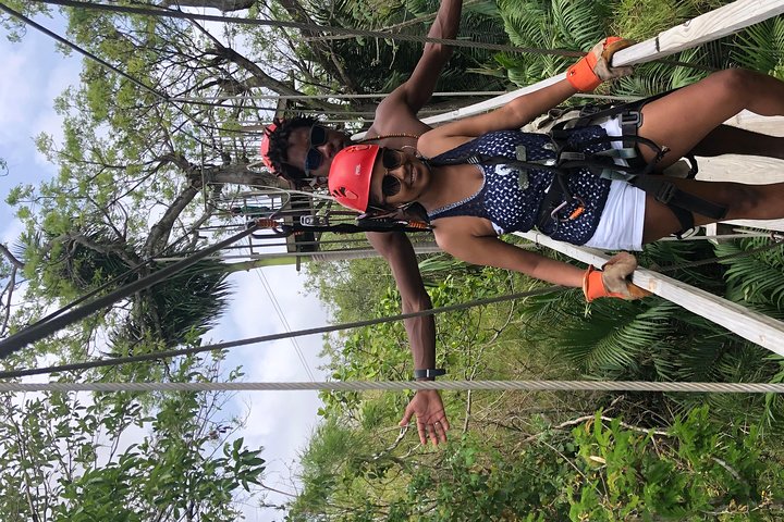 PRIVATE Zipline & Baboon Sanctuary Experience  - Image 2