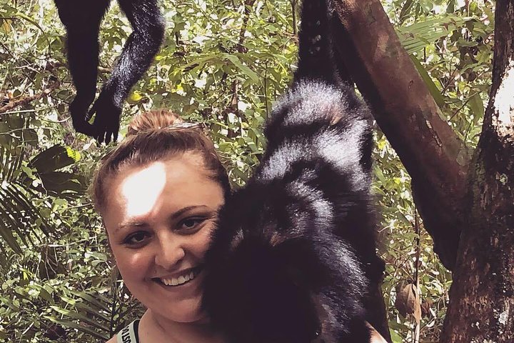 PRIVATE Zipline & Baboon Sanctuary Experience  - Image 4