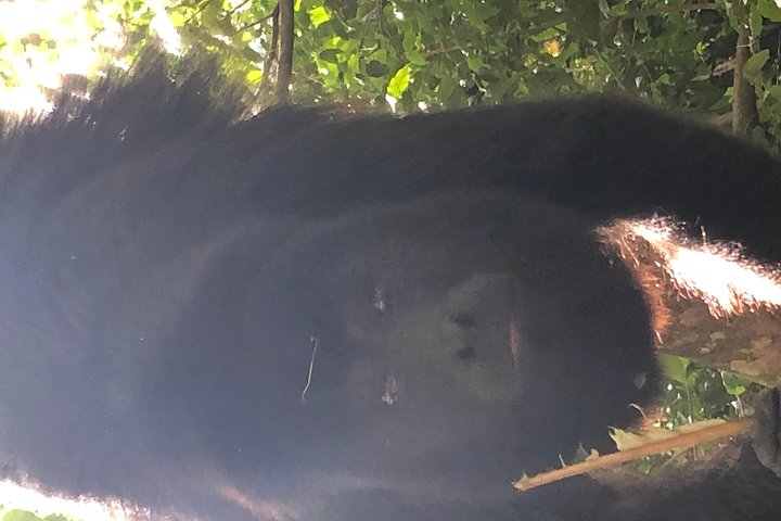 PRIVATE Zipline & Baboon Sanctuary Experience  - Image 5