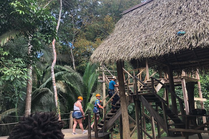 Rain forest Zip Line Adventure & Belize sign & Rum Factory from Belize City - Image 1