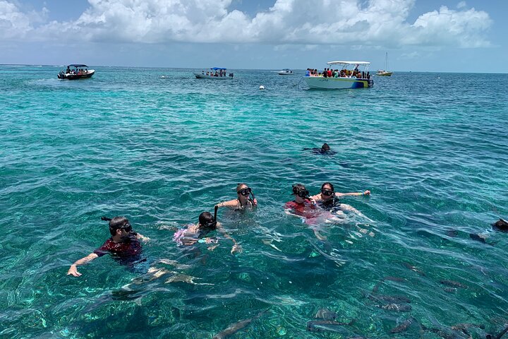 Second largest Barrier Reef Adventure Snorkeling - Image 4