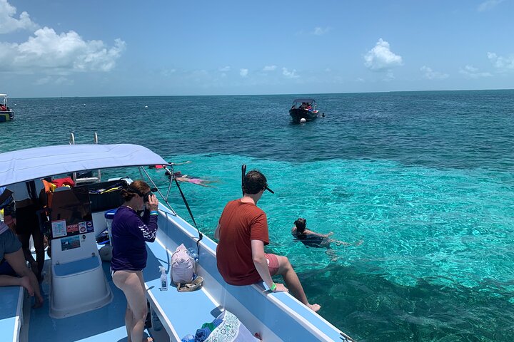 Second largest Barrier Reef Adventure Snorkeling - Image 3