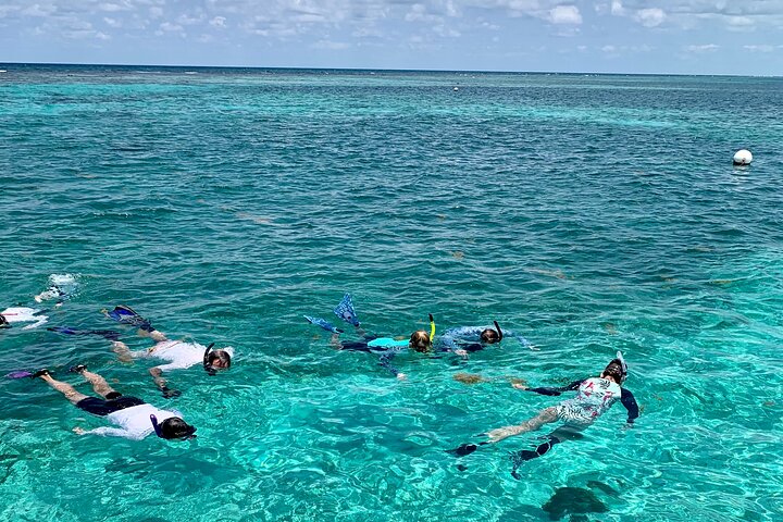 Turtle Garden Snorkeling Tour and Island Break  - Image 2