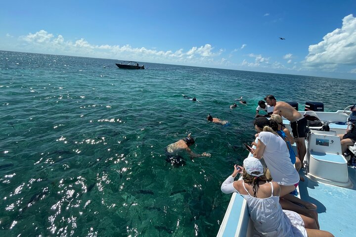 Turtle Garden Snorkeling Tour and Island Break  - Image 5