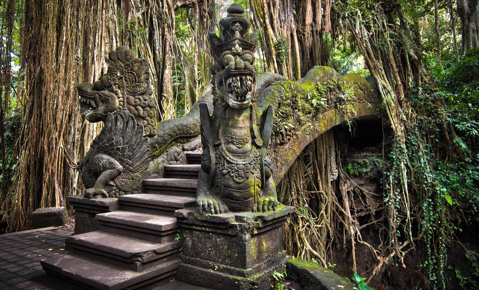 Exploring Ubud and its Surroundings - Image 1