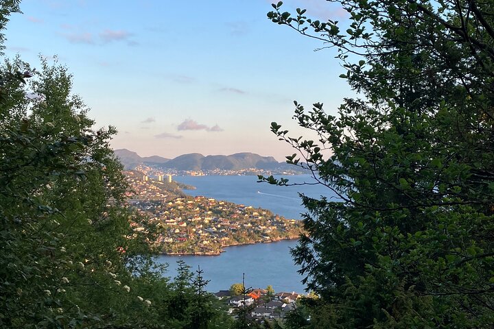 3-Hour Private Norwegian Hiking Experience with Local Guide - Image 4