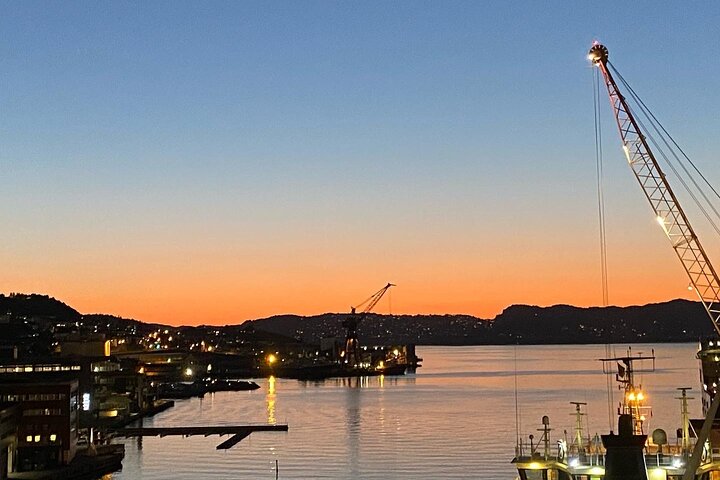4 Days Private Getaway in Bergen - Image 2