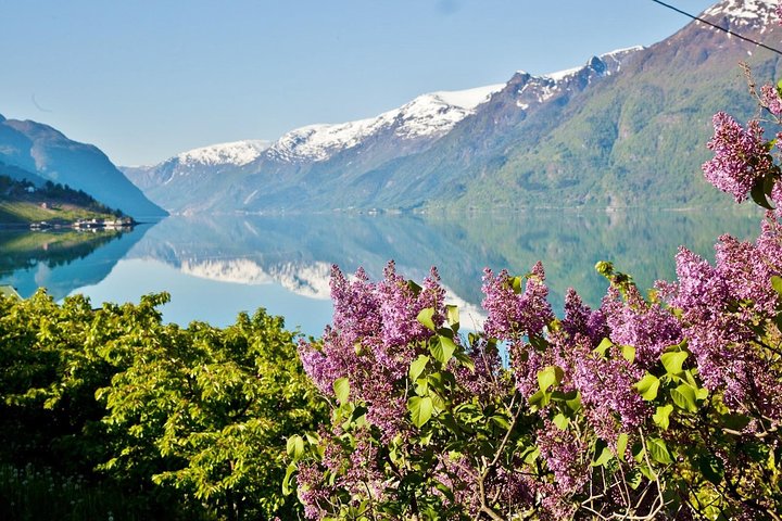 AMAZING HARDANGER FJORD: Private guided round trip from Bergen, 10 hours - Image 1