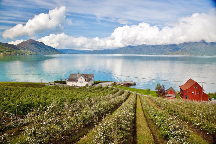 AMAZING HARDANGER: Private round trip with Fjord Cruise – from Bergen, 11 hours - Image 1
