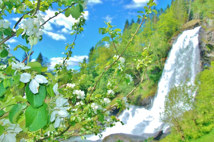 AMAZING HARDANGER: Private round trip with Fjord Cruise – from Bergen, 11 hours - Image 2