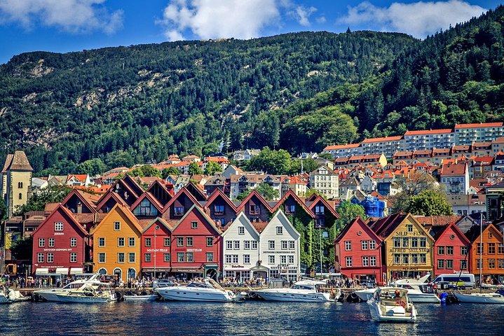 Bergen by car private tour with local food tasting - Image 5
