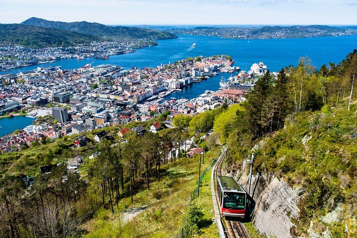 Bergen by car private tour with local food tasting - Image 3