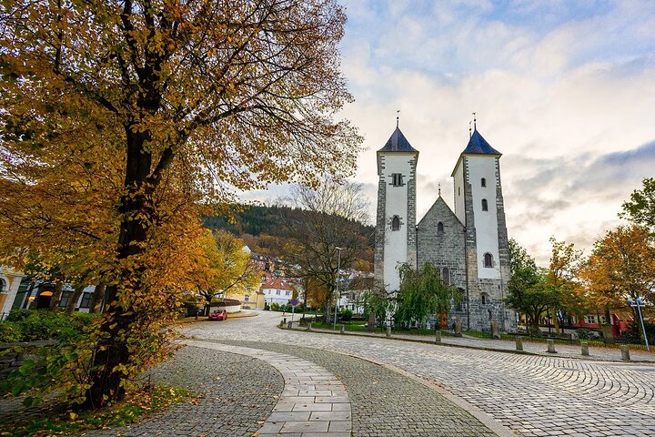 Bergen City 2-Hour Private Tour by Electric Car - Image 3