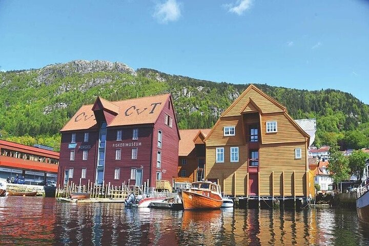 Bergen Cruise - Guided City & Harbor Sightseeing - Image 5