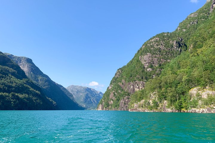 Bergen - Folgefonna Fjord + Glacier private cruise - Image 4