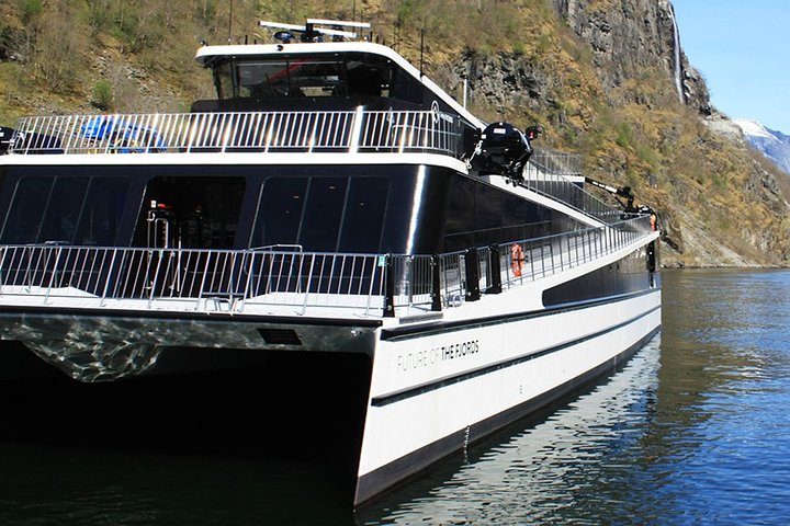 Full Day Guided Roundtrip From Bergen To Sognefjord With Flam Railway - Image 4