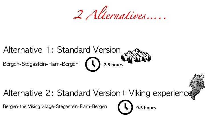 Private Day Trip to Flam and Stegastein - Image 2