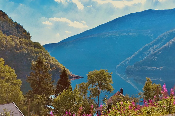 PRIVATE GUIDED TOUR: Highlights of Norway – Trip to the Sognefjord – SUMMER - Image 2
