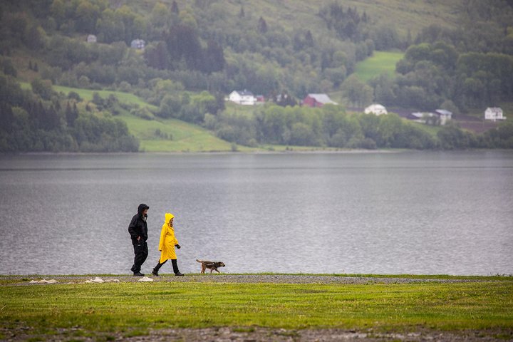 PRIVATE GUIDED TOUR: Norway's Highlights – Viking Special, 11-12 hours – SUMMER - Image 5
