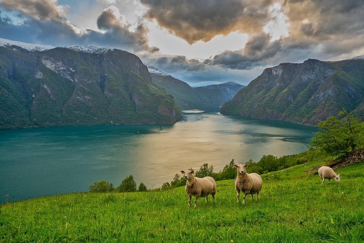 PRIVATE GUIDED TOUR: Norway's Highlights – Viking Special, 11-12 hours – SUMMER - Image 1