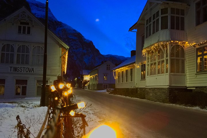 PRIVATE GUIDED TOUR: The Heart of Norway – Viking Special, 8-9 hours – WINTER - Image 4
