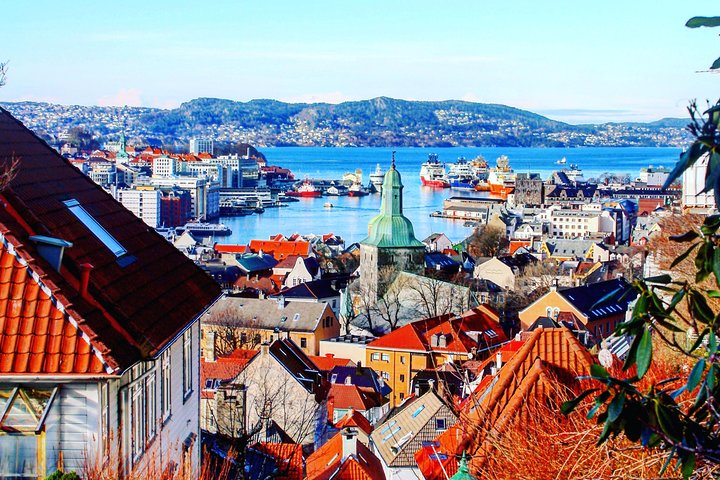 PRIVATE TOUR: Bergen city sightseeing, 3 hours - Image 4