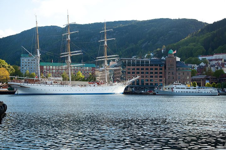 PRIVATE TOUR: Bergen city sightseeing, 4 hours - Image 4