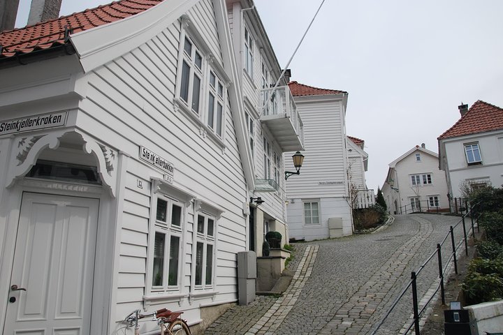 PRIVATE TOUR: Bergen city sightseeing, 5 hours - Image 4