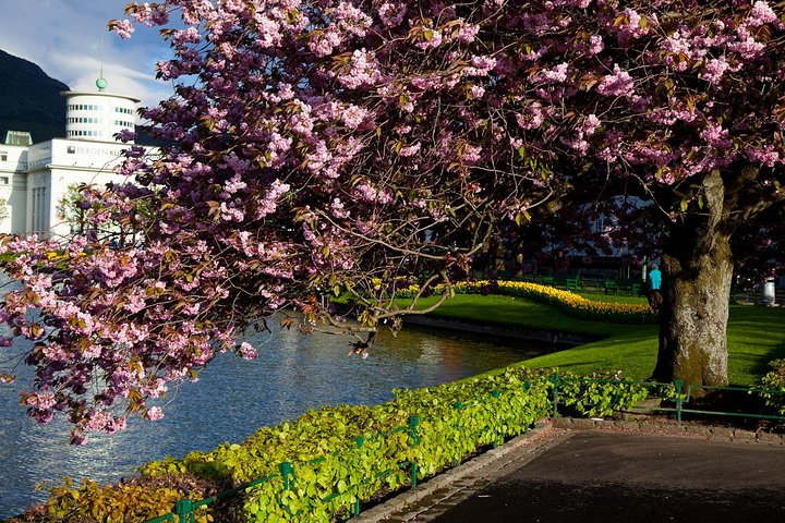 PRIVATE TOUR: Bergen city sightseeing, 5 hours - Image 3