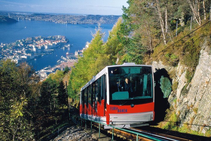PRIVATE TOUR: Bergen city sightseeing, 5 hours - Image 5